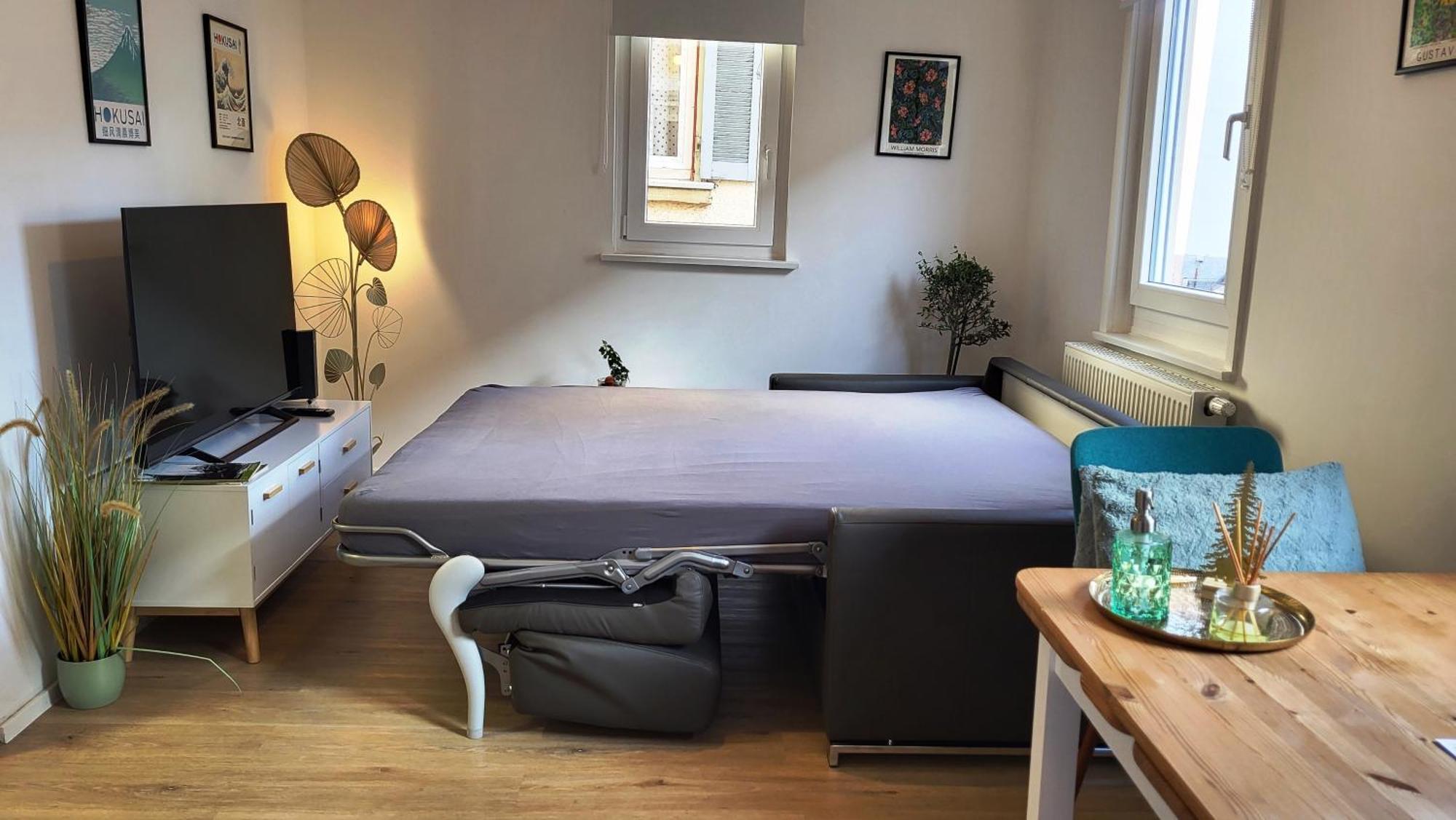 Apartment Weberstrasse Tübingen Dış mekan fotoğraf